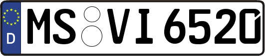 MS-VI6520