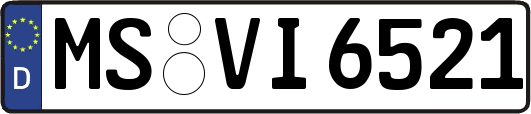 MS-VI6521