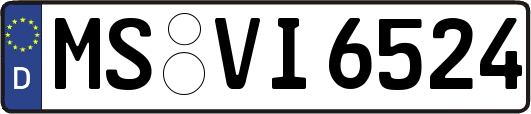 MS-VI6524