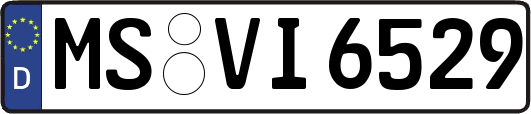 MS-VI6529