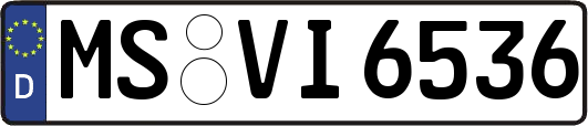 MS-VI6536