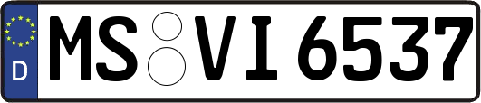MS-VI6537