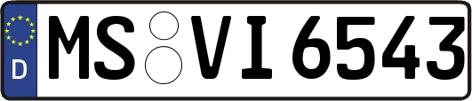 MS-VI6543