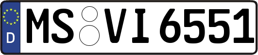 MS-VI6551