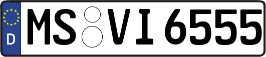 MS-VI6555