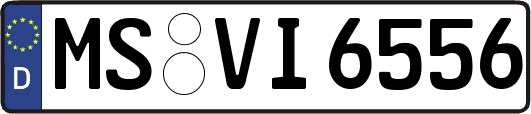 MS-VI6556