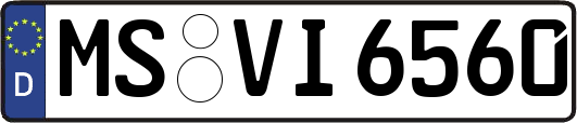 MS-VI6560