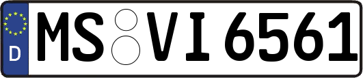MS-VI6561