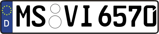 MS-VI6570