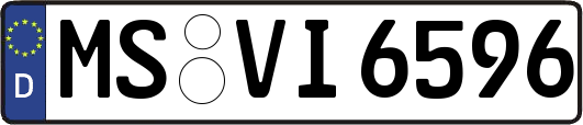 MS-VI6596