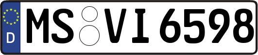 MS-VI6598
