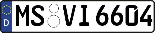MS-VI6604