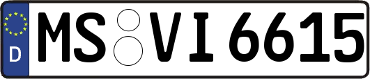 MS-VI6615