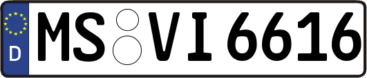 MS-VI6616