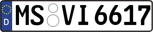 MS-VI6617