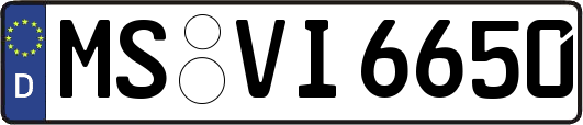 MS-VI6650