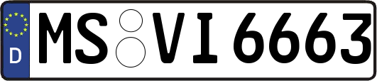 MS-VI6663