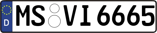 MS-VI6665