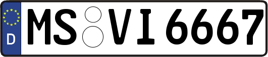 MS-VI6667