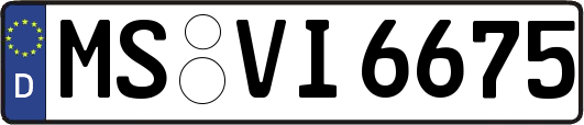 MS-VI6675