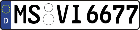 MS-VI6677