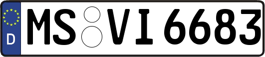 MS-VI6683
