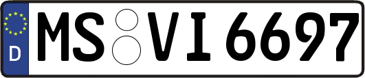 MS-VI6697