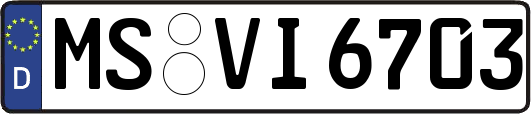 MS-VI6703