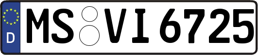 MS-VI6725