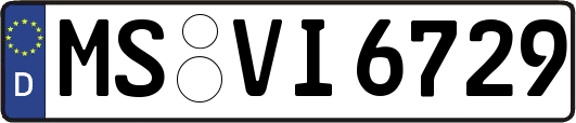 MS-VI6729