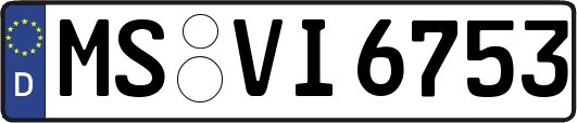 MS-VI6753
