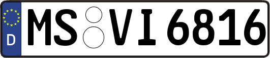 MS-VI6816
