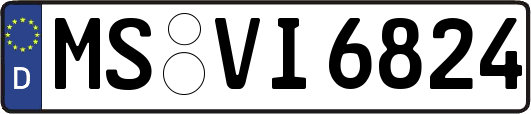 MS-VI6824