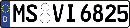 MS-VI6825