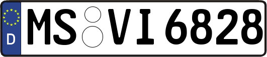 MS-VI6828