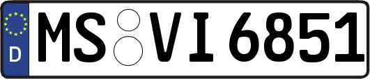 MS-VI6851