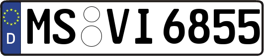 MS-VI6855