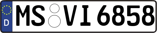 MS-VI6858