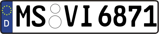 MS-VI6871