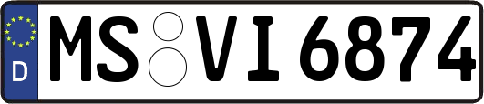 MS-VI6874