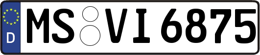 MS-VI6875
