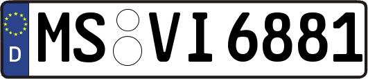MS-VI6881