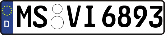 MS-VI6893