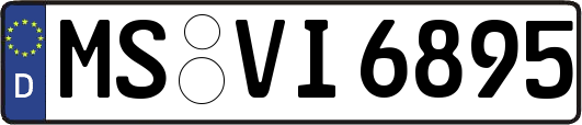 MS-VI6895