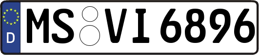 MS-VI6896