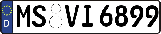 MS-VI6899
