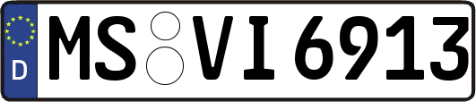 MS-VI6913