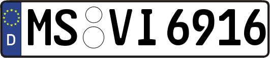 MS-VI6916