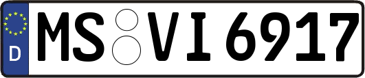 MS-VI6917
