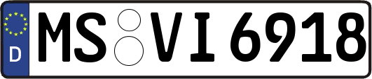 MS-VI6918